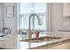 Close-up of kitchen island sink with granite countertop, potted plant, and natural light at 419 Whispering Breeze Ln, Summerville, SC 29486