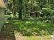 Lush backyard with a wooden shed in the tree line at 436 W Butternut Rd, Summerville, SC 29483