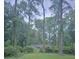 House exterior surrounded by tall pine trees and lush greenery at 436 W Butternut Rd, Summerville, SC 29483