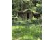 Small wooden shed in the backyard, blending into the greenery at 436 W Butternut Rd, Summerville, SC 29483
