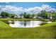 Scenic pond surrounded by lush green grass and a charming neighborhood under a bright, partly cloudy sky at 8009 Indian Hill Dr, Hanahan, SC 29410