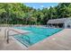 Large community swimming pool surrounded by lush trees and lounge chairs, perfect for summer relaxation and recreation at 8661 Laurel Grove Ln, North Charleston, SC 29420