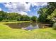 Scenic view of a tranquil pond surrounded by lush greenery, providing a peaceful natural setting at 1418 Whispering Oak Trl, Mount Pleasant, SC 29466