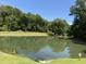 Scenic view of a tranquil pond surrounded by lush trees and greenery, creating a peaceful natural retreat at 1418 Whispering Oak Trl, Mount Pleasant, SC 29466