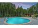 Community swimming pool surrounded by tall trees and multiple lounge chairs at 142 Seaton St, Summerville, SC 29486
