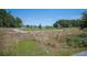 View of a pond in the community surrounded by trees at 169 Callibluff Dr, Summerville, SC 29486