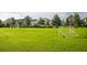 Large community recreation field with lush green grass, soccer goals, and colorful homes in the background at 220 Yalton St, Summerville, SC 29486
