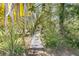 Charming backyard featuring a wooden walkway surrounded by lush greenery and palm trees at 2919 Zachary George Ln, Johns Island, SC 29455