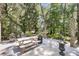 Beautiful outdoor dining area with a wooden picnic table, lush greenery, and a grill, perfect for entertaining at 2919 Zachary George Ln, Johns Island, SC 29455