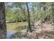 Beautiful waterfront view with mature trees and a sandy bank, perfect for nature lovers at 2919 Zachary George Ln, Johns Island, SC 29455