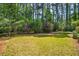 Lush backyard with mature trees, creating a private and serene outdoor space at 328 Fern House Walk, Mount Pleasant, SC 29464