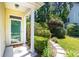 A welcoming entrance features a glass door, supported by white pillars, overlooking a well-maintained garden at 328 Fern House Walk, Mount Pleasant, SC 29464