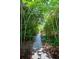 Picturesque stone pathway lined with lush greenery, creating a tranquil and inviting entrance at 328 Fern House Walk, Mount Pleasant, SC 29464