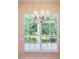 Close up of a large window overlooking lush greenery, with a charming chandelier at 328 Fern House Walk, Mount Pleasant, SC 29464