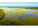 Stunning aerial view of the waterway surrounded by lush greenery and marshlands at 3894 Summerton St, Mount Pleasant, SC 29466