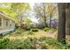 Lush backyard with mature trees, grassy area, and charming landscaping details at 707 Royall Ave, Mount Pleasant, SC 29464