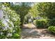 A private driveway surrounded by lush greenery, creating a serene and inviting entrance to the property at 707 Royall Ave, Mount Pleasant, SC 29464
