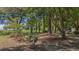 Secluded back yard overlooking the bay with mature trees at 1010 Black Oak Rd, Bonneau, SC 29431