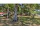 Spacious, partially shaded yard with a variety of mature trees at 1010 Black Oak Rd, Bonneau, SC 29431