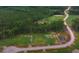 Overhead view of the neighborhood showing wooded homesites and a winding road, inviting exploration and tranquility at 1212 Reserve Ln, Awendaw, SC 29429