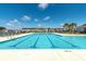 Beautiful community swimming pool featuring palm trees, lounge chairs, and lanes for exercise and recreation at 127 Surfbird Rd, Summerville, SC 29486