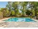 Backyard pool surrounded by lush landscaping and a concrete patio at 1505 Rivertowne Country Club Dr, Mount Pleasant, SC 29466