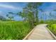 Scenic boardwalk path winding through lush greenery and wetlands for nature walks at 2009 E Patterson Pt, Hanahan, SC 29410