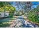 Long driveway leading to home surrounded by mature trees and vegetation at 210 Padgett Loop, Walterboro, SC 29488