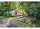Home exterior showing a wooden shed, a wooden platform, grass and mature vegetation at 210 Padgett Loop, Walterboro, SC 29488
