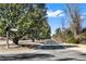 Scenic street view lined with lush trees and a smooth paved road at 2636 Anchor Watch Dr, Wadmalaw Island, SC 29487