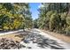 Scenic street view lined with lush trees and a smooth paved road at 2636 Anchor Watch Dr, Wadmalaw Island, SC 29487