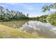 Scenic view of a pond with reflections of the sky, surrounded by trees and greenery at 281 Jackson St, Goose Creek, SC 29445