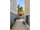 Backyard with brick pathway leads to cozy outdoor seating beneath a palm tree at 49 Ashley Ave, Charleston, SC 29401