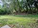 Spacious backyard surrounded by lush greenery, offering a private outdoor retreat at 6279 Lucille Dr # B, North Charleston, SC 29406