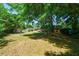 Overhead view of a spacious yard featuring plenty of green space, a shed and a patio area at 779 Dills Bluff Rd, Charleston, SC 29412