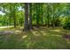 Expansive yard with mature trees along a street, offering a peaceful, shaded view and curb appeal at 100 Colonial Dr, Goose Creek, SC 29445