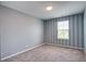 Bedroom featuring a modern striped accent wall, plush carpet, and large window at 1059 Sago Palm Ct, Mount Pleasant, SC 29429