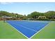 Well-maintained tennis courts featuring blue courts and a green border at 1325 Moss Path, Mount Pleasant, SC 29464