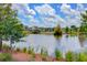 Beautiful community pond surrounded by lush greenery and houses, creating a peaceful atmosphere at 150 Midtown Ave, Summerville, SC 29486