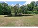 Scenic pond surrounded by lush greenery, offering a peaceful and natural setting at 1589 Bluewater Way, Charleston, SC 29414