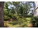 Serene backyard with lush greenery, mature trees, and a well-maintained lawn, creating a peaceful outdoor space at 2229 Boatwright Rd, Johns Island, SC 29455