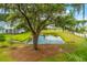 A scenic view from a backyard featuring a serene pond surrounded by lush greenery and trees at 2596 Hatch Dr, Johns Island, SC 29455