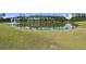 Scenic view of a lush green lawn sloping down to a tranquil pond surrounded by trees at 267 Palmetto Walk Dr, Summerville, SC 29486