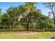 Large tree with Spanish moss and stepping stones in the backyard, adding a Southern charm to the property at 3399 Freeman Hill Rd, Johns Island, SC 29455
