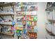 Organized walk-in pantry with ample shelving and storage for all your kitchen essentials at 78 Branch Creek Trl, Summerville, SC 29483