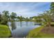 Picturesque pond with a fountain, surrounded by lush greenery and neighborhood homes, creating a serene setting at 78 Branch Creek Trl, Summerville, SC 29483