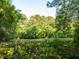Natural pond with lily pads and lush greenery at 8035 Mckayla Rd, Summerville, SC 29483