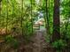 Backyard features a wooded pathway to a covered porch, visible through the trees at 8035 Mckayla Rd, Summerville, SC 29483
