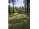 Expansive backyard with plenty of shade from mature trees and ample space at 103 Bruce Ct, Summerville, SC 29486