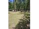 Spacious backyard featuring a large grassy area surrounded by mature trees and a wooden fence at 103 Bruce Ct, Summerville, SC 29486